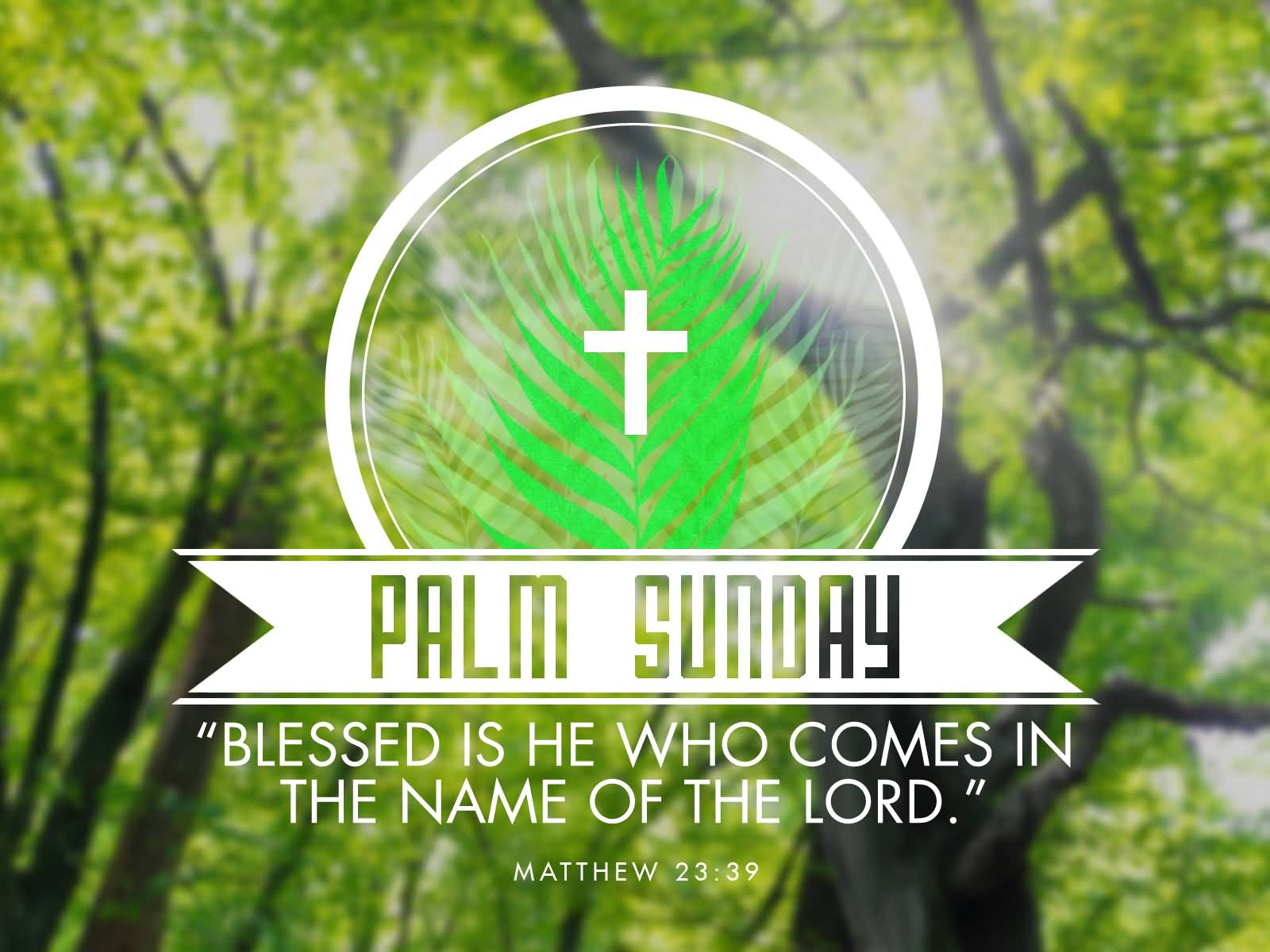 2024 PALM SUNDAY